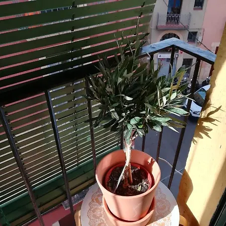 Olivia Iii Apartamento *
